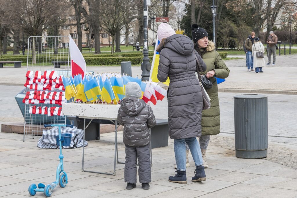 Как проверить статус UKR в Польше: инструкция для украинцев